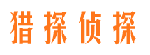 磐安市场调查